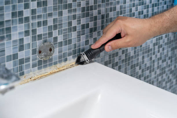 Best Mold Removal Near Me  in Little Falls, MN