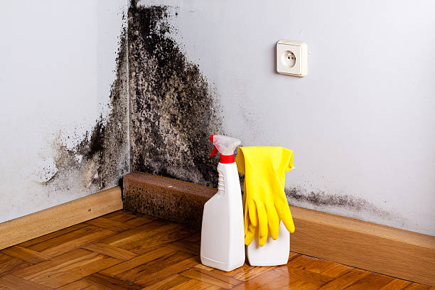 Water Damage Restoration in Little Falls, MN